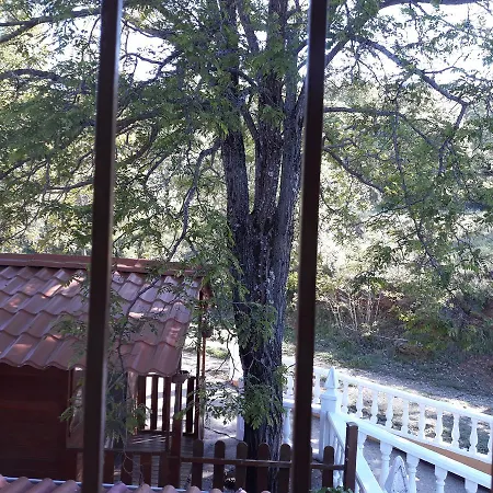 Casa de hóspedes Banos Del Sagrario